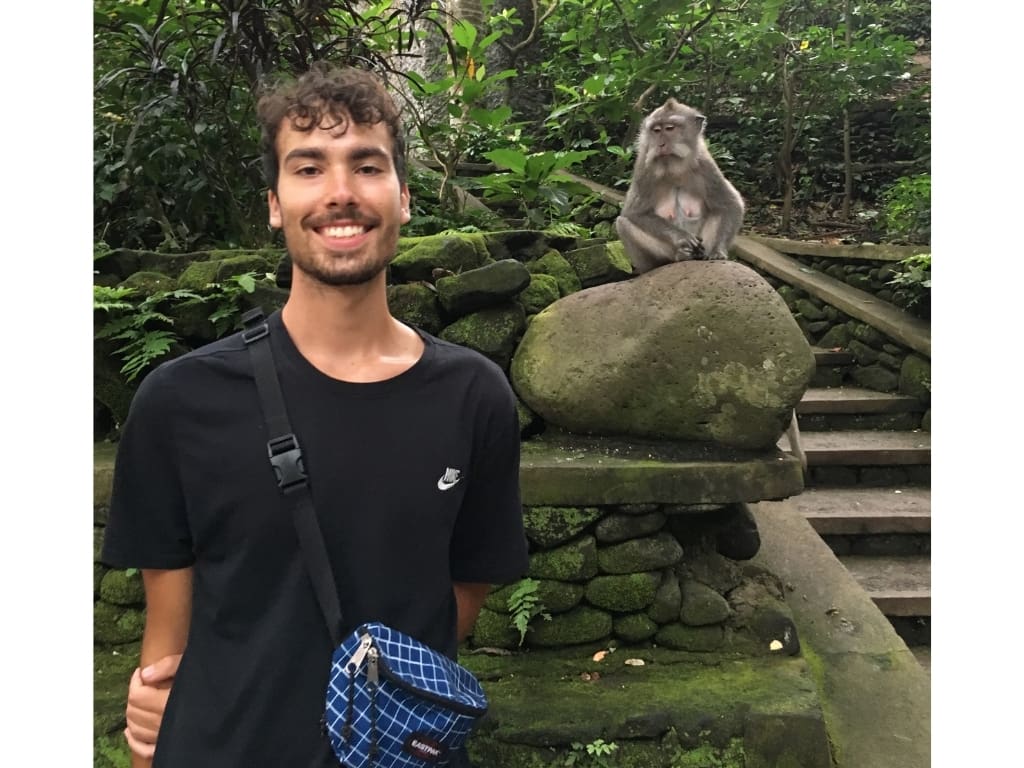 monkey in monkey forest in Ubud, Bali