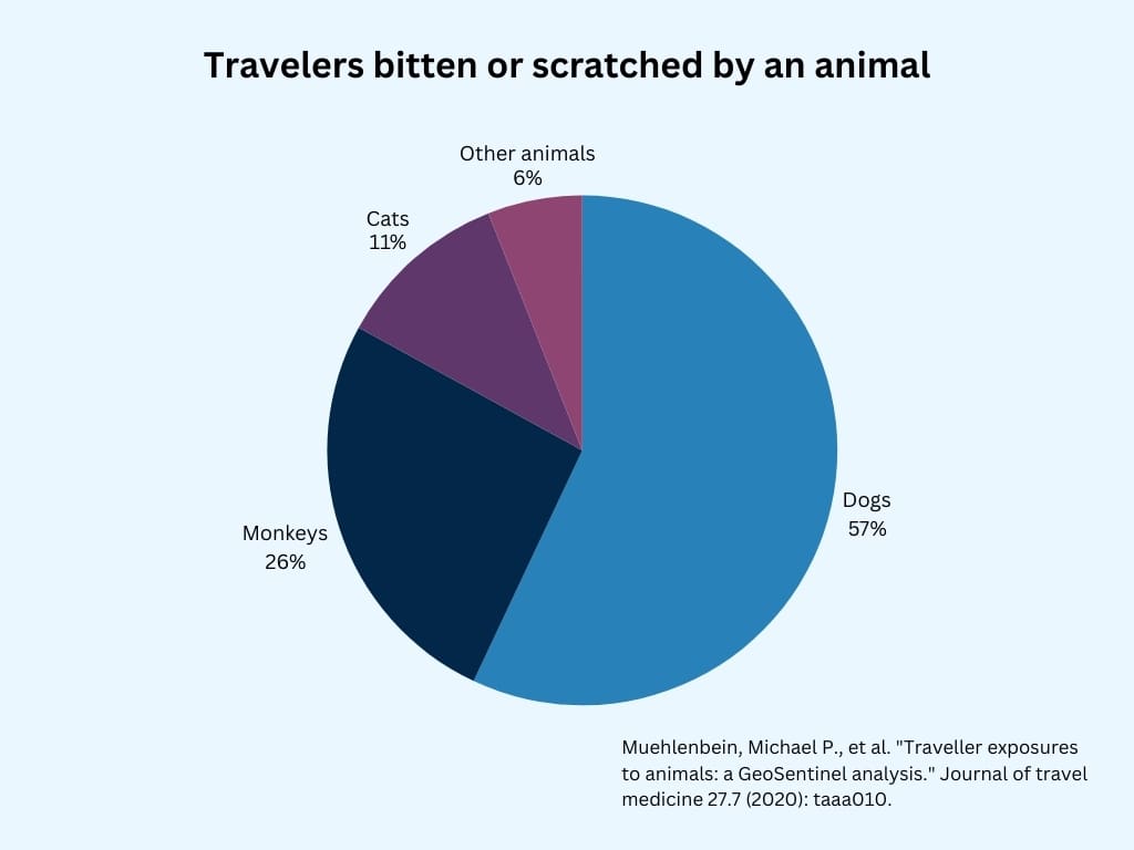 travelers bitten or scratched by an animal