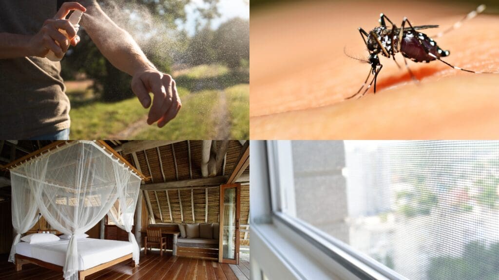 insect bite prevention