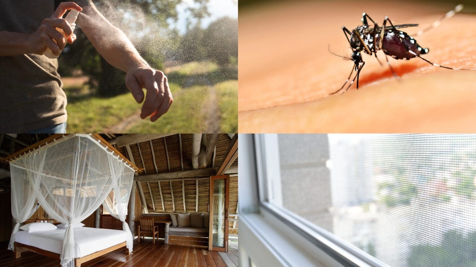 insect bite prevention