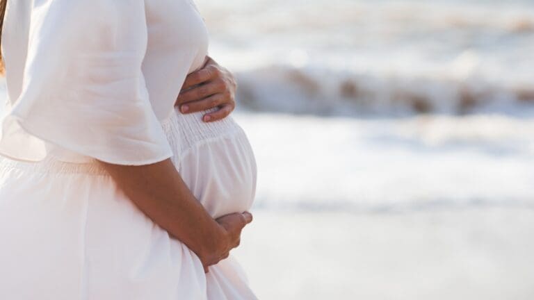 pregnant traveler