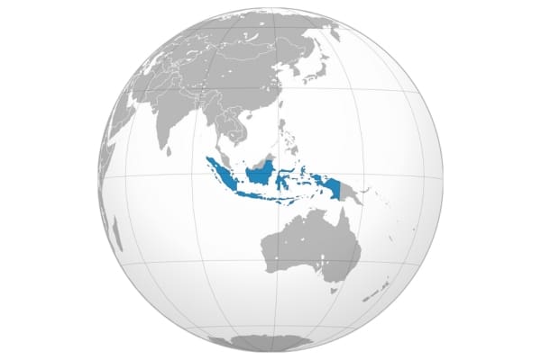 Indonesia ortho map